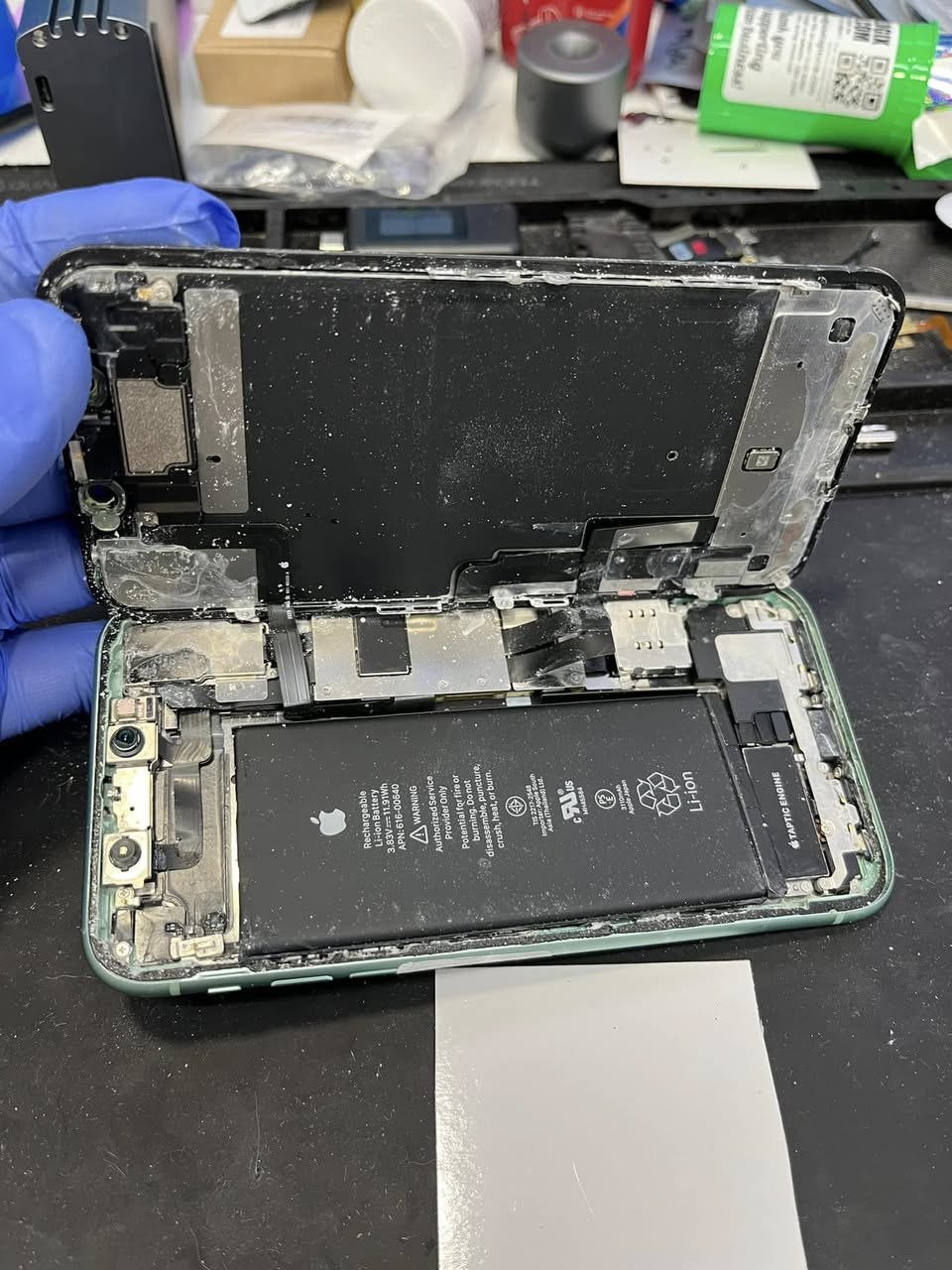 Supreme Cellular Repair gallery photo 32