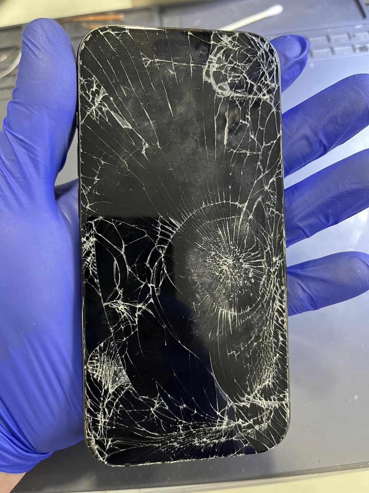 Supreme Cellular Repair gallery photo 50