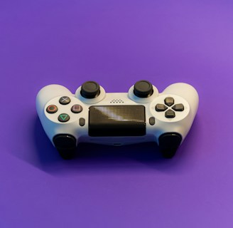 white and black game controller